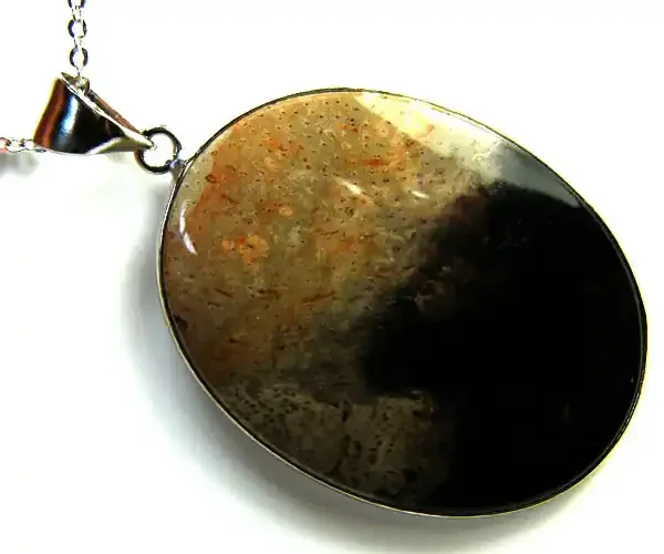 PALM ROOT FOSSIL SET IN PENDANT 61 CARATS AAA1907