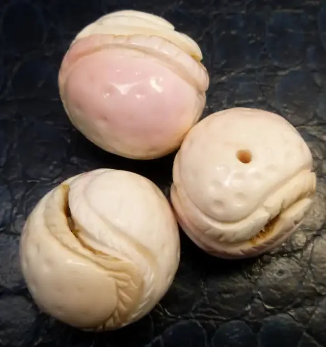 Parcel 3 Conch Shell Beads 191.50 carats RT 1362