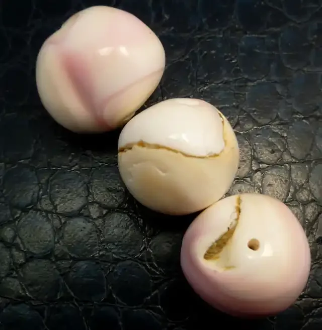 Parcel 3 Conch Shell Beads 212.25 carats RT 1358