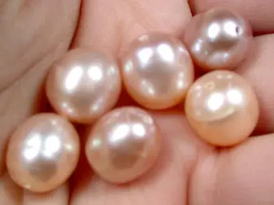 PARCEL A1 GRADE CHAMPAGNE PEARLS 45.5 CARATS A1587