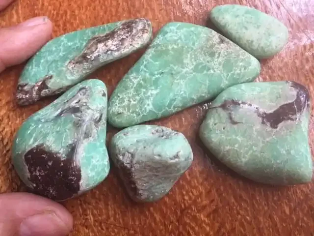 Parcel Australian Chrysoprase PPP 1784