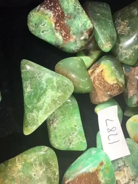Parcel Australian Chrysoprase PPP 1787