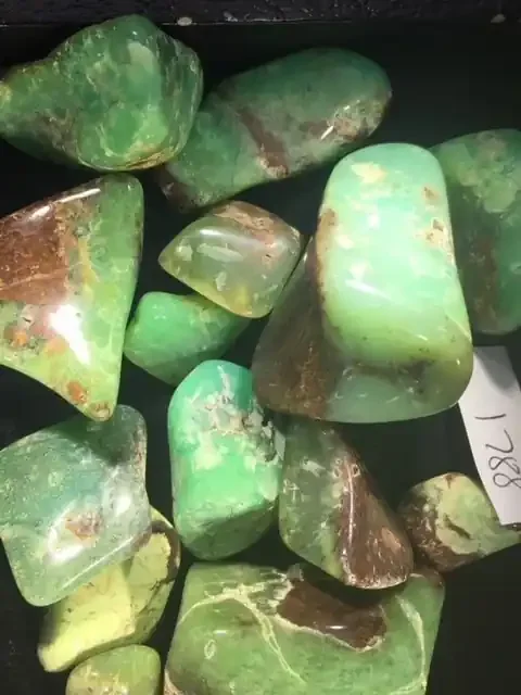 Parcel Australian Chrysoprase PPP 1788