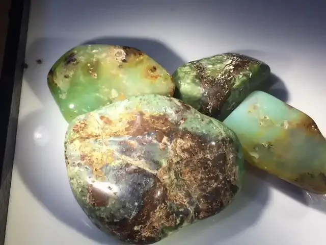 Parcel Australian Chrysoprase PPP 1815