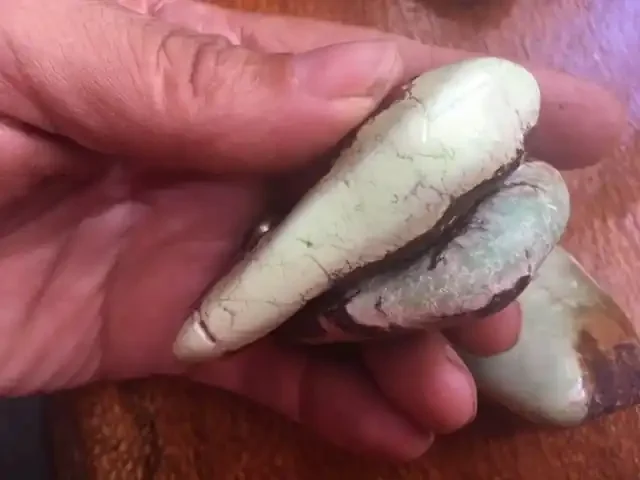 Parcel Australian jade ,Chrysoprase PPP 1782
