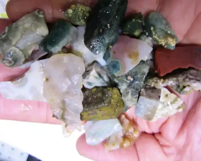 PARCEL OCEAN JASPER AGR 1483