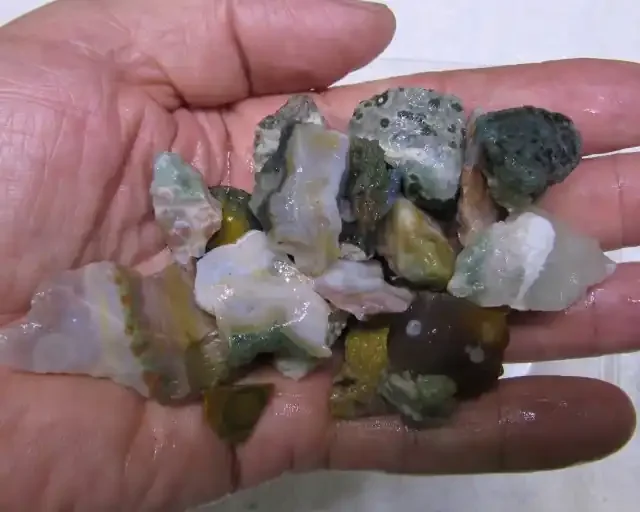 PARCEL OCEAN JASPER AGR 1485