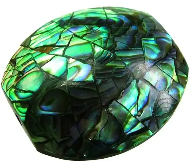 PAUA SHELL BEAD-VIBRANT 23.75 CTS [ST741 ]