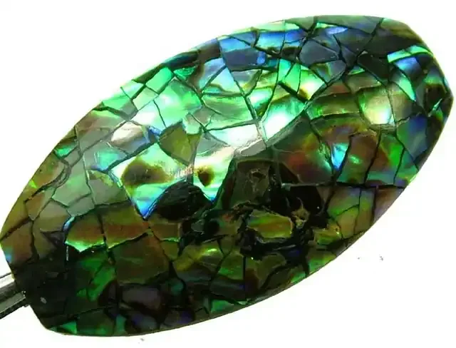 PAUA SHELL BEAD-VIBRANT 25.50 CTS [ST734 ]