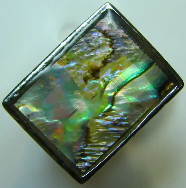 PAUA SHELL ELECTRO PLATED SILVER RING SIZE 17