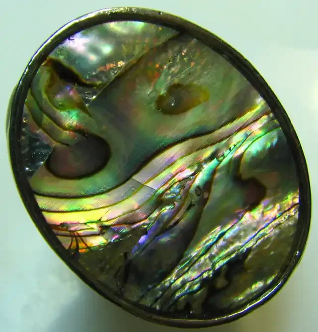 PAUA SHELL ELECTRO PLATED SILVER RING SIZE 20