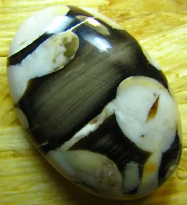 PEANUT WOOD JASPER CABOCHON STONE 37.15 CTS
