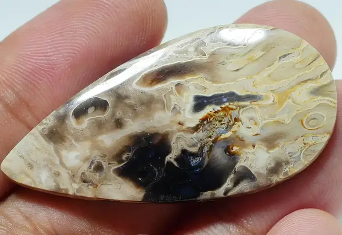 PETRIFIED PALM WOOD NATURAL AA GRADE GREAT PATTERN 36.85 CRT -C9-