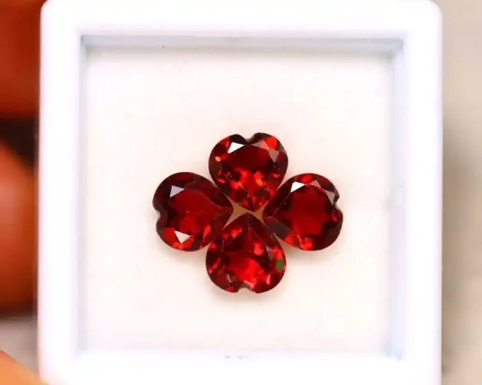 Rhodolite 3.40Ct 4Pcs Natural Red Rhodolite Garnet ER200/B27