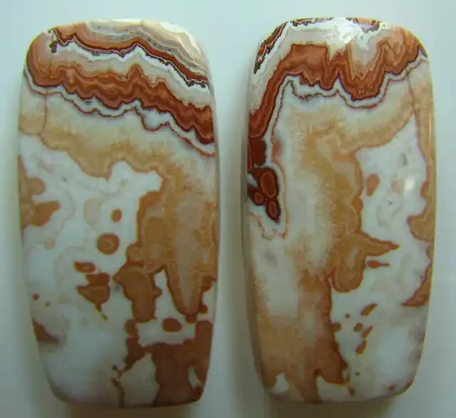 ROSETTA JASPER PAIR OF STONES GREAT PATTERNS 57.50 CTS
