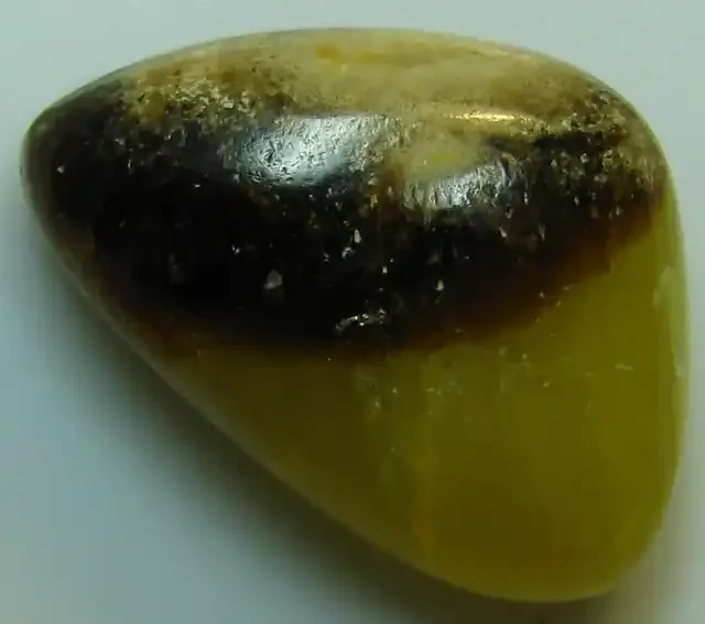 SEPTARIAN UNIQUE STONE FROM GULF OF MEXICO 14.15 CTS