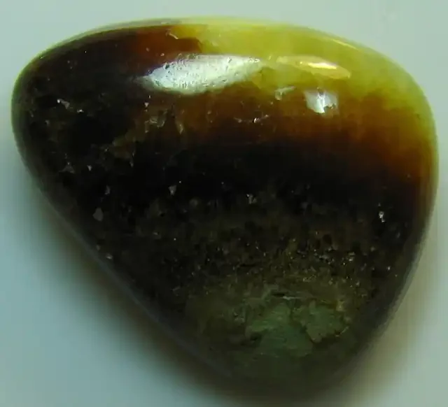 SEPTARIAN UNIQUE STONE FROM GULF OF MEXICO 14.85 CTS