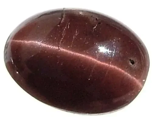 [SG] CATS EYE -SILLIMANTIE 3.1CTS [S2019 ]