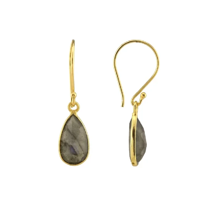 Small Teardrop Labradorite Earrings