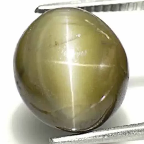 Sri Lanka Chrysoberyl Cat‘s Eye, 10.54 Carats, Olive Green Oval