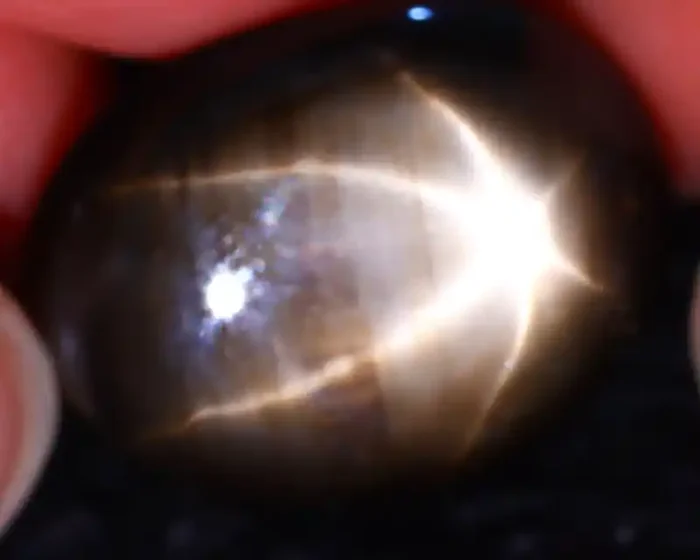 Star Sapphire 23.70Ct Natural 6 Rays Black Star Sapphire ER323/A53