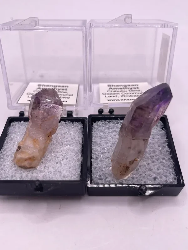 Starshinecrystal6/elizalaganas