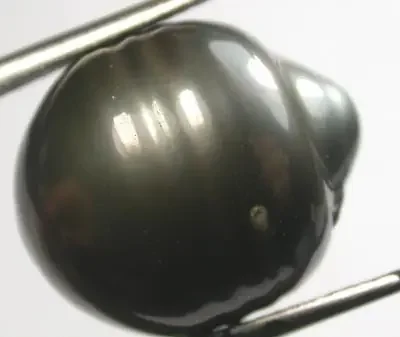 TAHITIAN PEARLS -LARGE BLACK BAROQUE PEARL-15/16MM [PF1144 ]