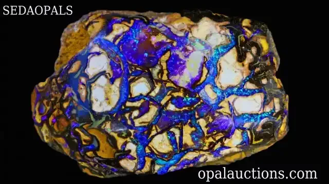 TEN OPAL POSTERS -FIREY YOWAH SPECIMEN