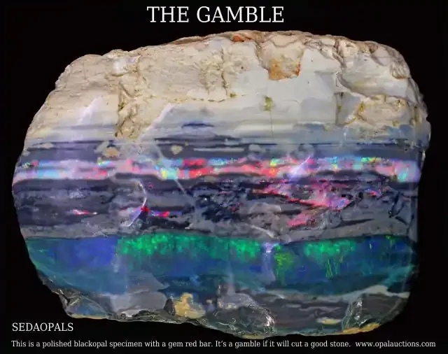 TEN OPAL POSTERS OF GAMBLE ROUGH SPECIMEN.