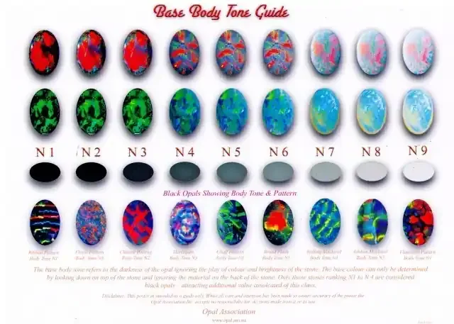 THIRTY BODY TONE CHARTS-FREE SHIPPING
