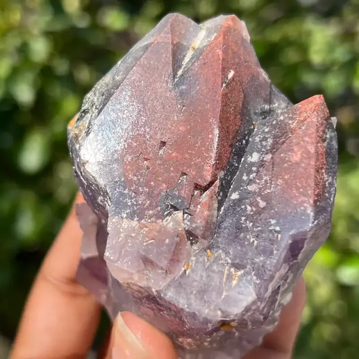 Thunder Bay Red Capped Amethyst from the Show Me The Loot Mine, Dzuba Claim, Superior Shores, Thunder Bay, Ontario