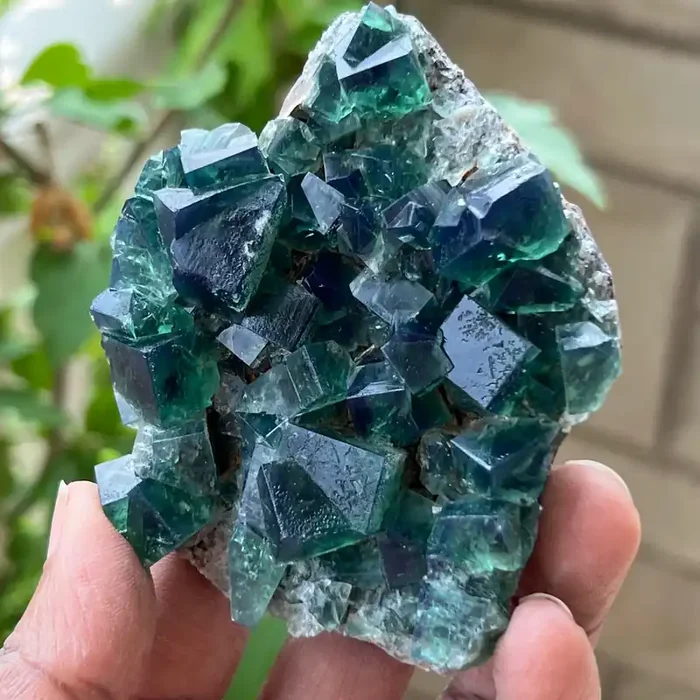 UK Fluorite from the Greedy Hog Pocket, Diana Maria Mine, Frosterley, Weardale, Co. Durham, England, Cubic Fluorite