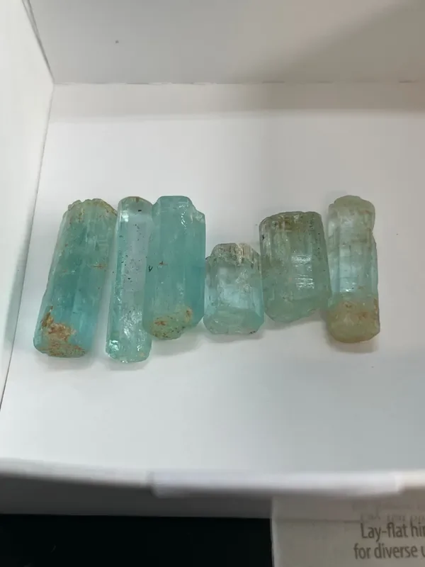@uncledude (uncledudeman)